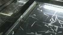 Radioactive Radon  Gas Being Squirted Into a Cloud Chamber
