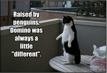 Raised by Penguins