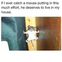 Ralph the Mouse