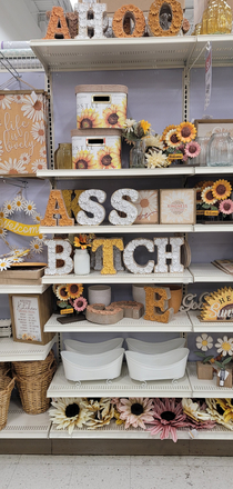 Ran some errands at Michaels yesterday and came across this in one of the aisles