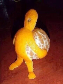 Rare captured image of the orange changing its shell