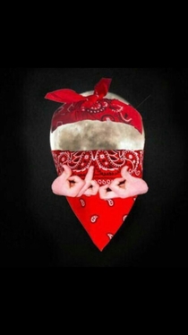 Rare pic of the blood moon