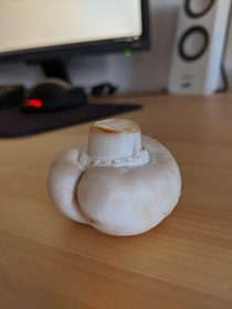 Rate my THICK mushroom