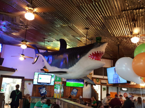 Rather than removing the shark left behind by Joes Crab Shack the new Irish restaurant decided to give him a leprechauns hat instead