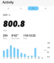 Reached the Holy Grail of running boob amount of miles