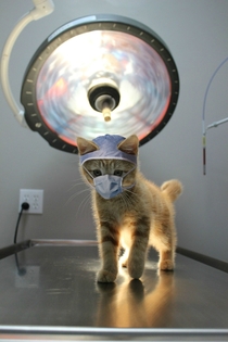 Ready for your CAT scan
