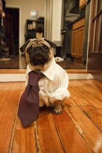 Ready To Go to Office