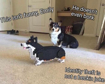 Real dog meets his Lego counterpart