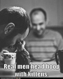 Real Men Head Boop with Kittens