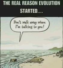 Real reason for the evolution