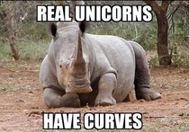 real unicorns