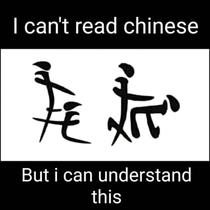 Really i Dont Know Chinese Language 