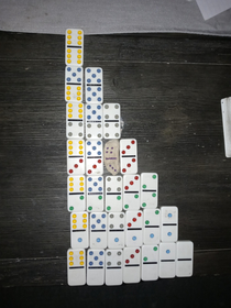 Really wanted to play dominoes and was short one bone We figured it out