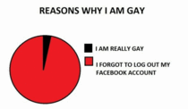 Reasons why I am gay
