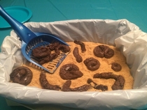 Recently got a cat and the glory of changing litter so for my birthday my mom decided to make a clever birthday cake for me I promise its actually glazed chocolate cookies and graham cracker crumbs Tasted better than it looked at least