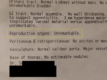 Recently had a CT scan and noticed this in the report