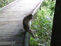 Recently visted Japan and saw this guy deep in thought I let him be