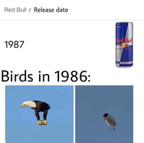 Red Bull give you wings