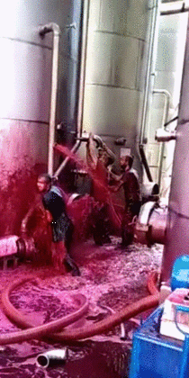 Red wine tragedy