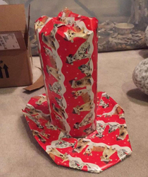 Reddit inspired me to start wrapping presents in misleading shapes This is a drone for my dad in the shape of a ten gallon hat