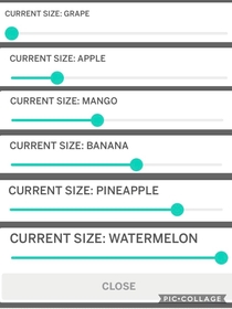 Reddit named its text sizes after fruit