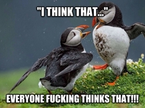 Reddits reaction to the puffin