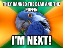 Reddits Scared the Paranoid Parrot