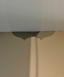 Refraction from a light fixture in my new place