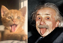 Reincarnation of Einstein