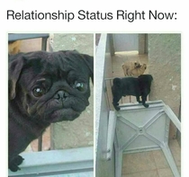 Relationship Status Right Now