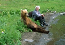 Relaxing Bear