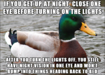 Remember when this mallard gave useful advice