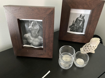 Replaced my friends family photos while I was feeding his cats during his vacation