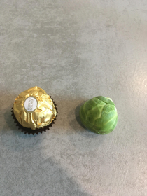 Replacing Ferrero Rocher fillings with Brussel Sprouts Give-away for Halloween
