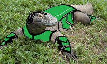 reptile mortal kombat