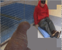 Rescued baby walrus with her caretaker 