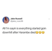 Rest easy