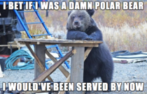 Restaurant Bear