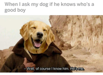 Return of the good boy