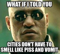 Returning to NYC after visiting a few european cities I realized that it is disgusting