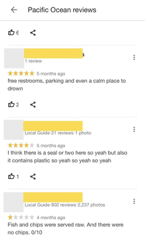 Reviews of the Pacific Ocean on Google