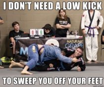 Ridiculously Photogenic Martial Artist