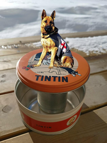 Rintintin on a Tintin tin with a tin in the Tintin tin