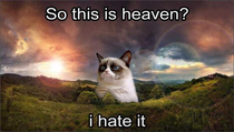 RIP Grumpy Cat