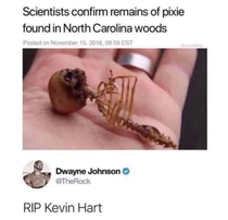 RIP Kevin Hart