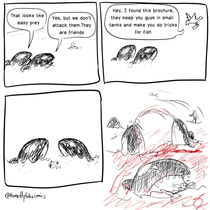 RIP Tilikum