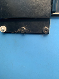RIP whoever got their hair stuck in this porta potty door 