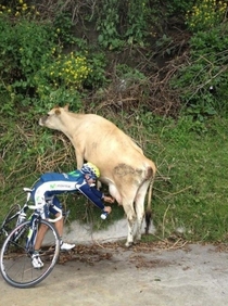 Roadside Refreshment