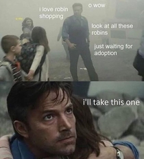 Robin shopping