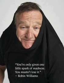 Robin Williams the philosopher